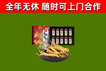 英吉沙县回收冬虫夏草价格