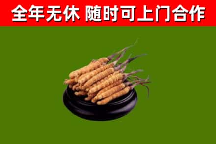 英吉沙县烟酒回收冬虫夏草.jpg