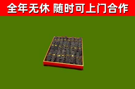 英吉沙县回收海参